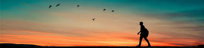 silhouet van man tegen het avondrood starend naar vlucht vogels